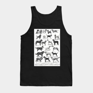TYPES OF DOGS VETERINARY ILUSTRATION Tank Top